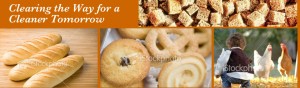 banner-home